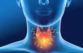 Thyroid Profile