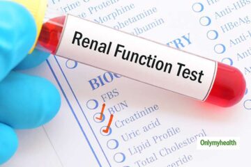 Kidney Function Test